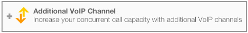 Increase your concurrent call capacity with additional VoIP channels