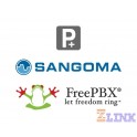 Parking Pro (25 Year License) - Sangoma FreePBX Add-On