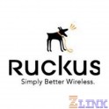 Ruckus ZoneDirector 3000 License Upgrade Supporting an Additional 50 ZoneFlex AP's