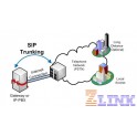 Dịch vụ SIP Trunking
