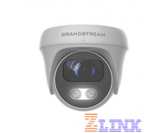 Grandstream GSC3610 Dome IP Security Camera