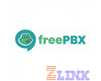 Sangoma 25 YR Paging Pro Module for FreePBX