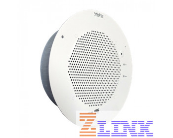 CyberData 011105 Syn-Apps Speaker Signal White