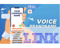 Dịch vụ Voice Brandname