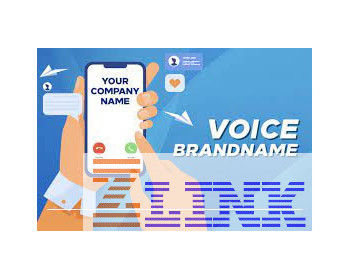 Dịch vụ Voice Brandname